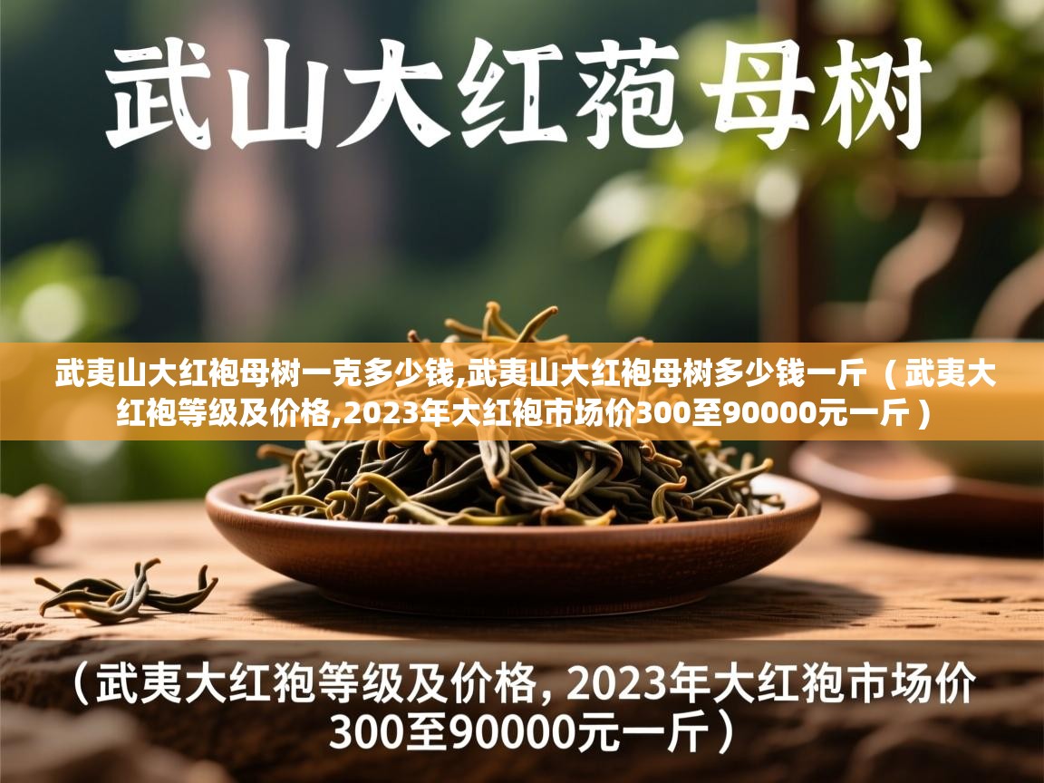 武夷山大红袍母树一克多少钱,武夷山大红袍母树多少钱一斤  ( 武夷大红袍等级及价格,2023年大红袍市场价300至90000元一斤 )  武夷山大红袍母树一克多少钱,武夷山大红袍母树多少钱一斤  ( 武夷大红袍等级及价格,2023年大红袍市场价300至90000元一斤 )