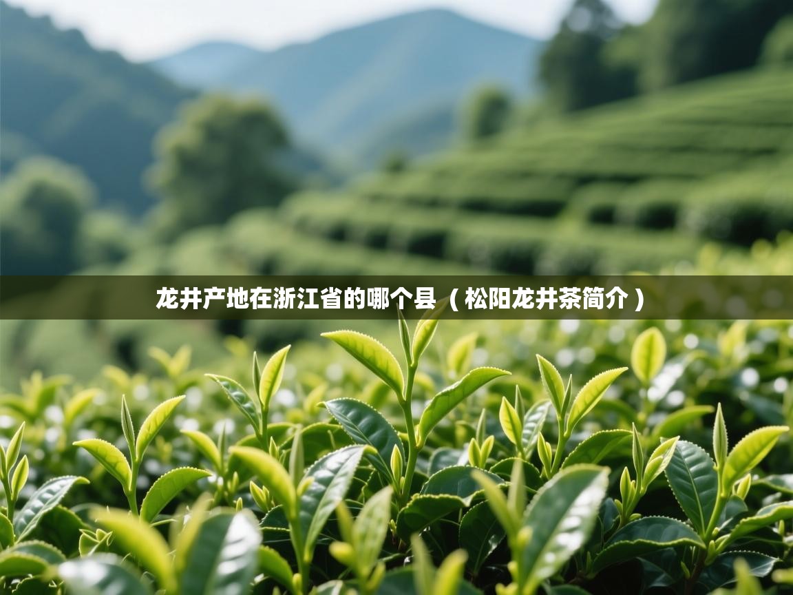 龙井产地在浙江省的哪个县  ( 松阳龙井茶简介 )  龙井产地在浙江省的哪个县  ( 松阳龙井茶简介 )
