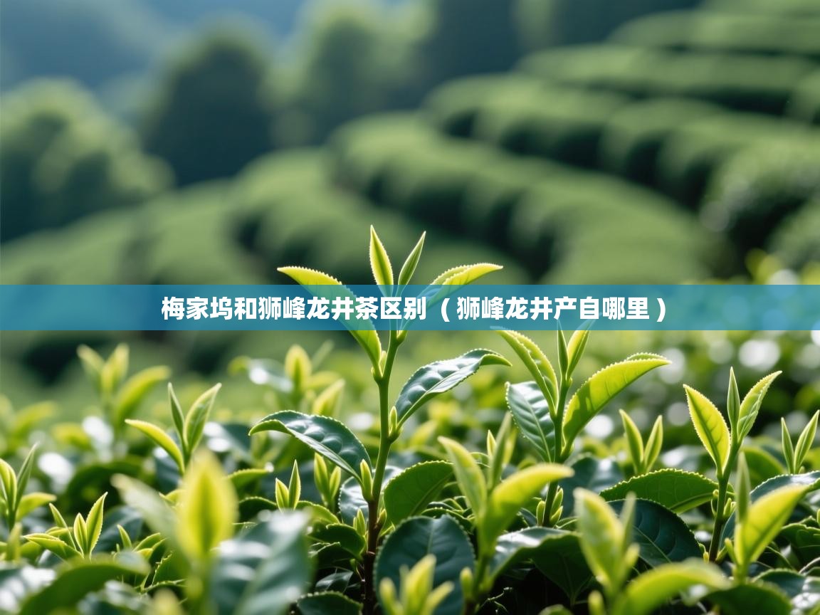 梅家坞和狮峰龙井茶区别  ( 狮峰龙井产自哪里 )  梅家坞和狮峰龙井茶区别  ( 狮峰龙井产自哪里 )