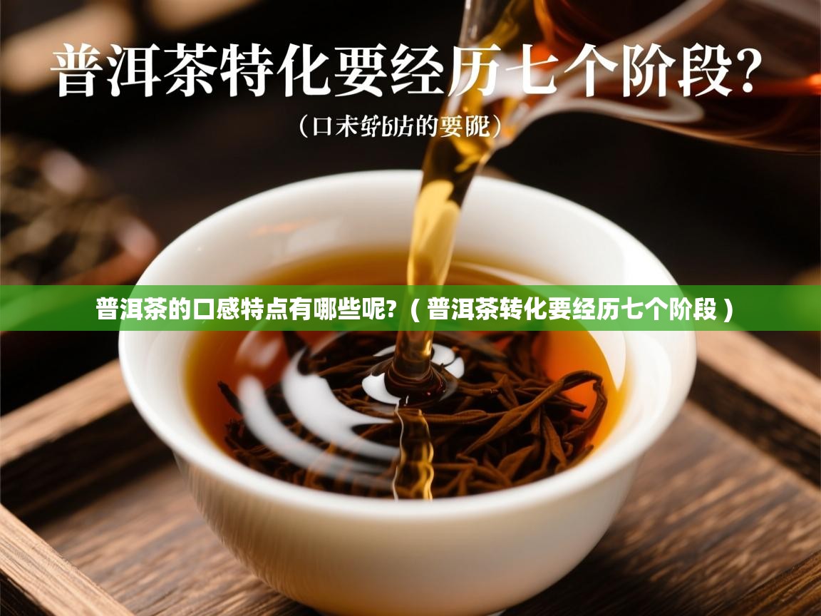 普洱茶的口感特点有哪些呢?  ( 普洱茶转化要经历七个阶段 )