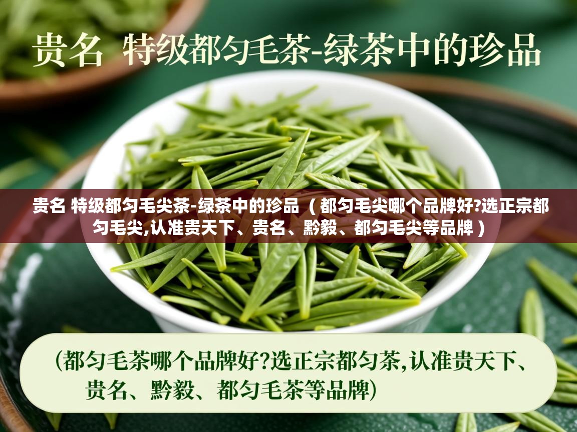  贵名 特级都匀毛尖茶-绿茶中的珍品  ( 都匀毛尖哪个品牌好?选正宗都匀毛尖,认准贵天下、贵名、黔毅、都匀毛尖等品牌 )