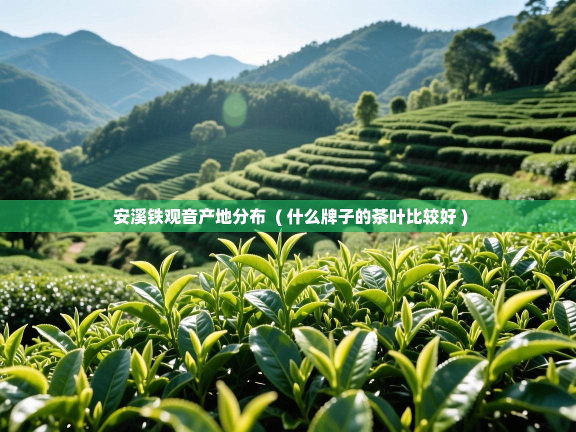 安溪铁观音产地分布  ( 什么牌子的茶叶比较好 )  安溪铁观音产地分布  ( 什么牌子的茶叶比较好 )