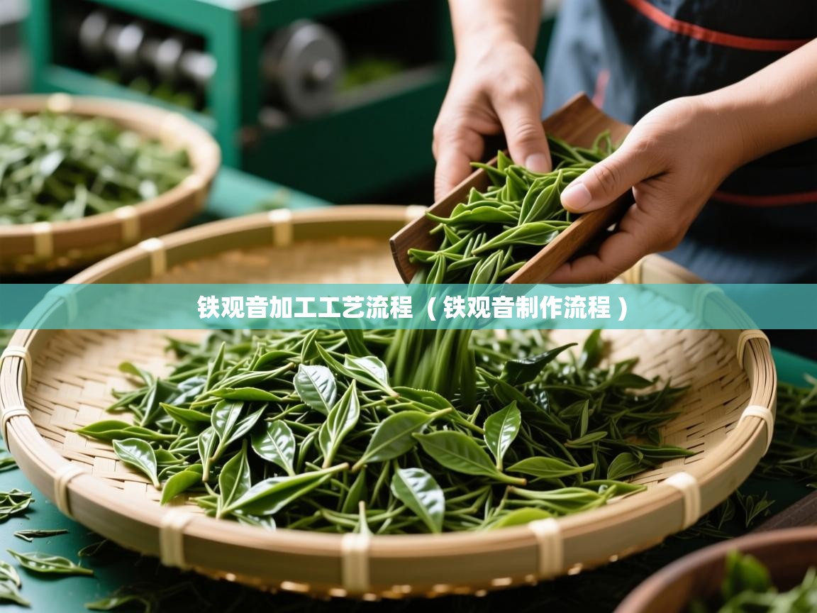 铁观音加工工艺流程  ( 铁观音制作流程 )  铁观音加工工艺流程  ( 铁观音制作流程 )