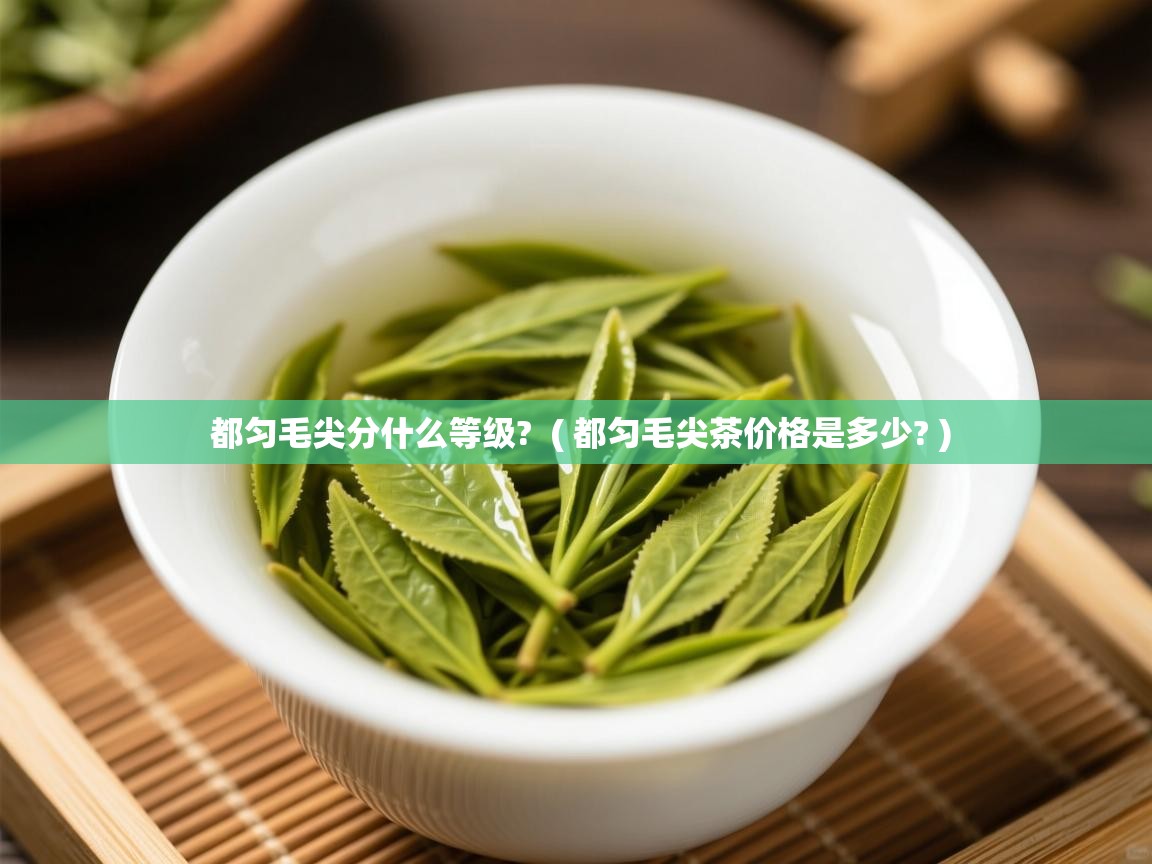  都匀毛尖分什么等级?  ( 都匀毛尖茶价格是多少? )