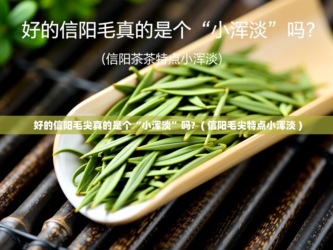  好的信阳毛尖真的是个“小浑淡”吗?  ( 信阳毛尖特点小浑淡 )