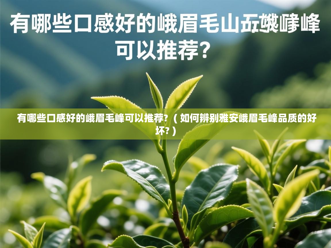  有哪些口感好的峨眉毛峰可以推荐?  ( 如何辨别雅安峨眉毛峰品质的好坏? )