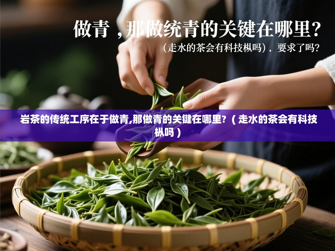  岩茶的传统工序在于做青,那做青的关键在哪里?  ( 走水的茶会有科技枞吗 )