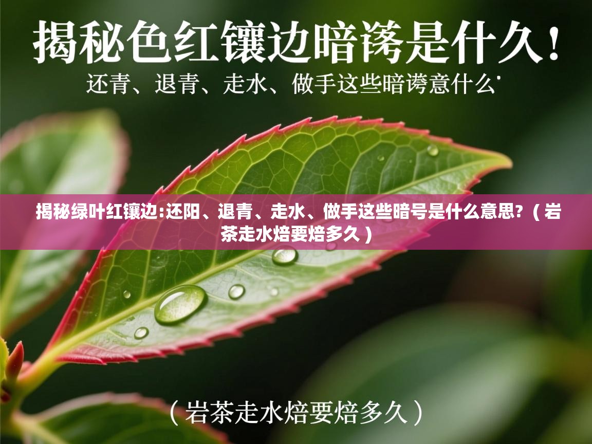 详细阅读: 揭秘绿叶红镶边:还阳、退青、走水、做手这些暗号是什么意思?  ( 岩茶走水焙要焙多久 )  揭秘绿叶红镶边:还阳、退青、走水、做手这些暗号是什么意思?  ( 岩茶走水焙要焙多久 )