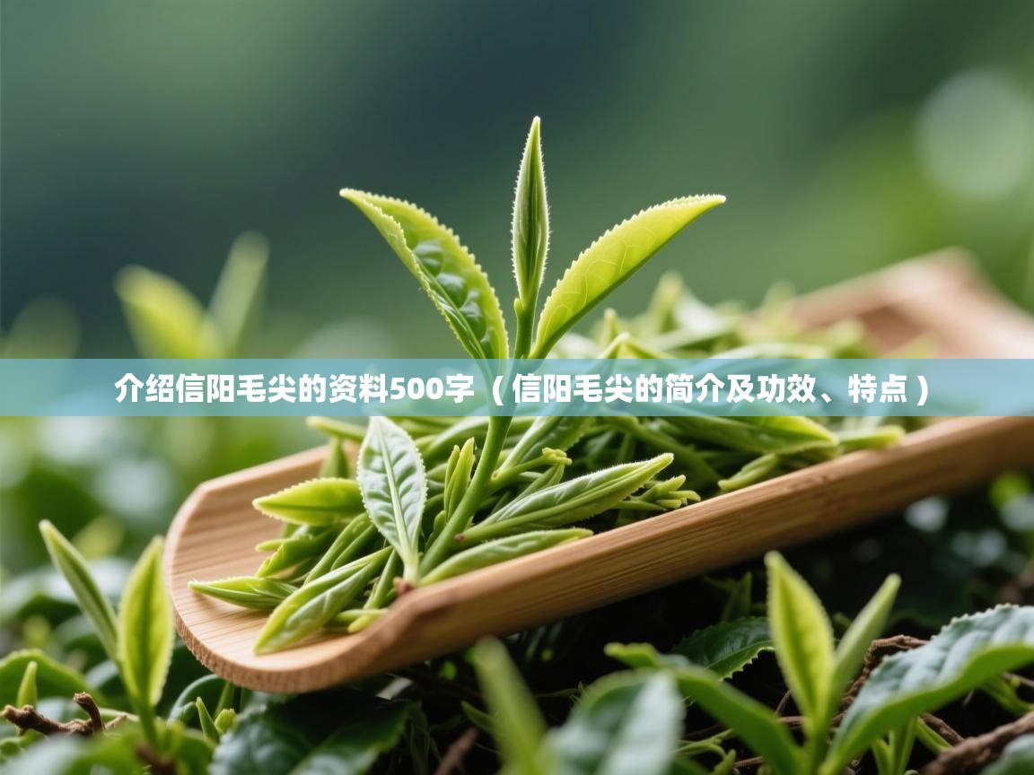  介绍信阳毛尖的资料500字  ( 信阳毛尖的简介及功效、特点 )