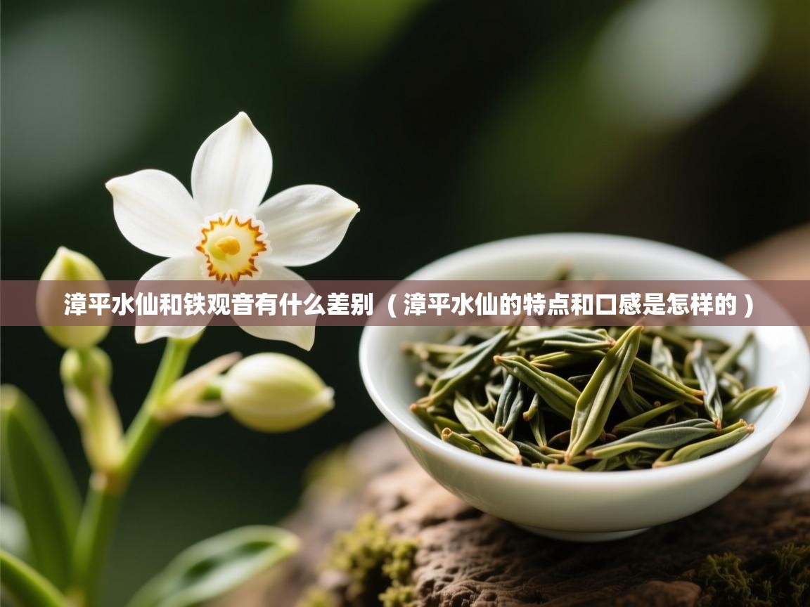 漳平水仙和铁观音有什么差别  ( 漳平水仙的特点和口感是怎样的 )  漳平水仙和铁观音有什么差别  ( 漳平水仙的特点和口感是怎样的 )