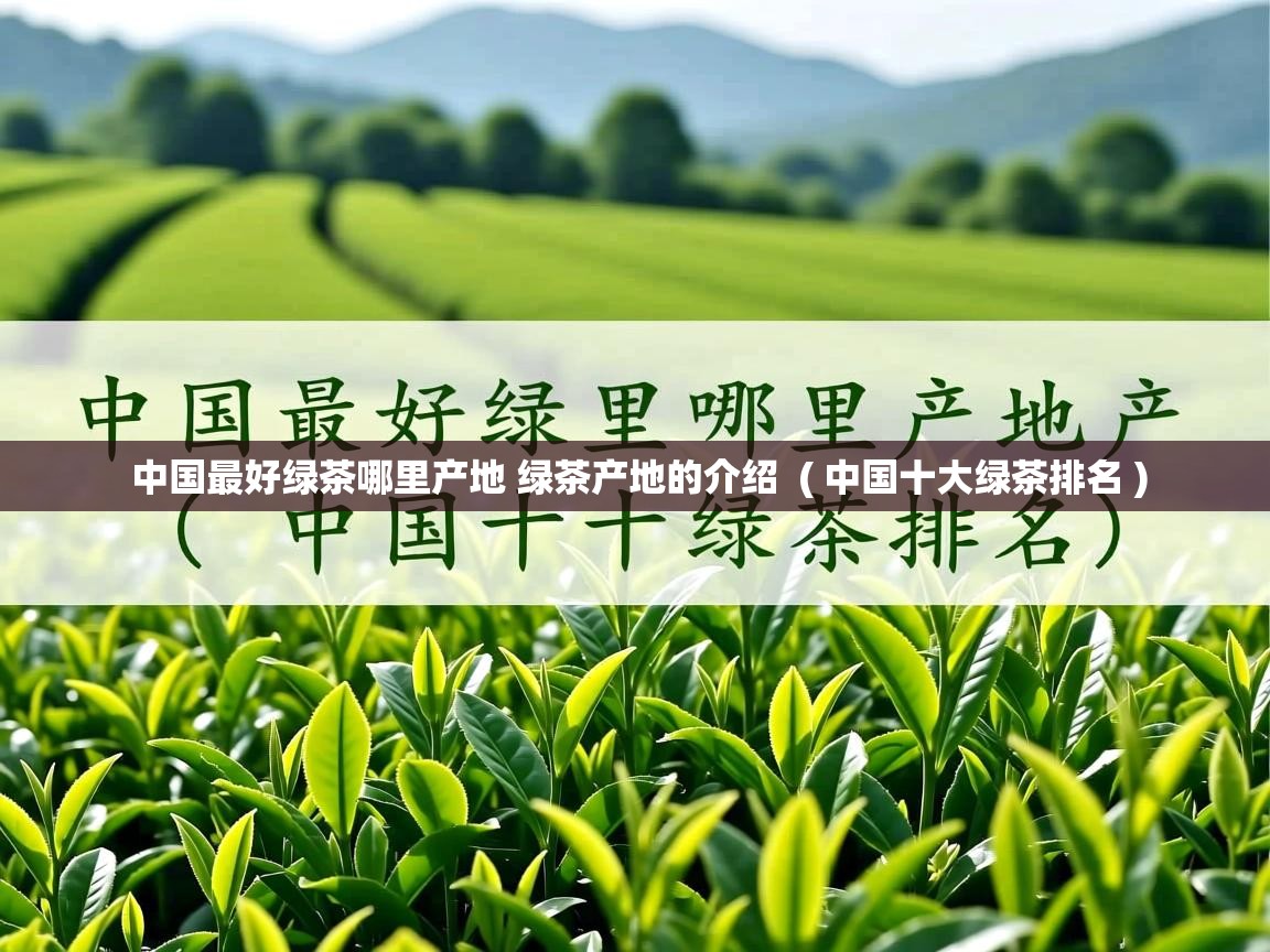 中国最好绿茶哪里产地 绿茶产地的介绍  ( 中国十大绿茶排名 )  中国最好绿茶哪里产地 绿茶产地的介绍  ( 中国十大绿茶排名 )