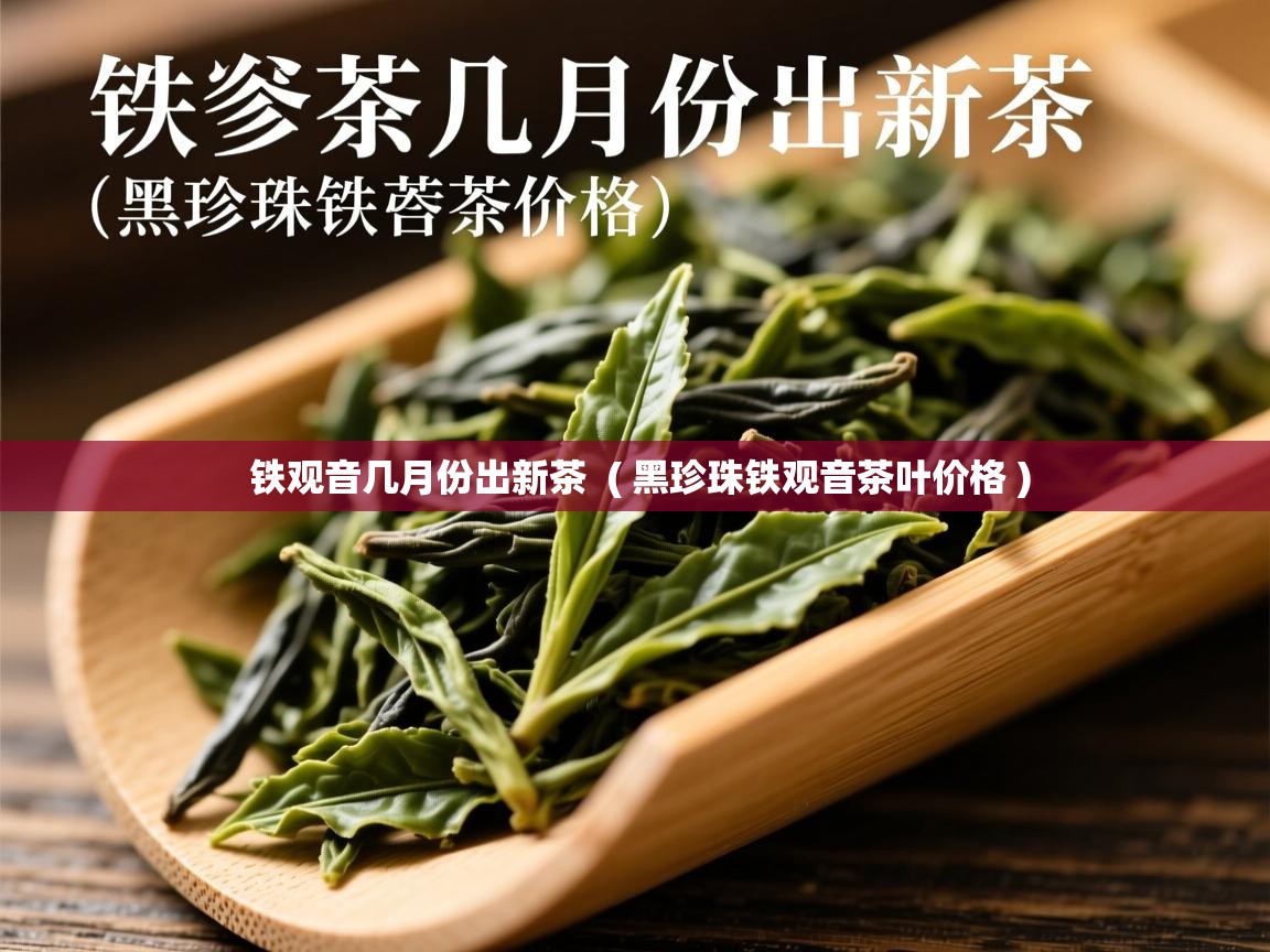 铁观音几月份出新茶  ( 黑珍珠铁观音茶叶价格 )  铁观音几月份出新茶  ( 黑珍珠铁观音茶叶价格 )