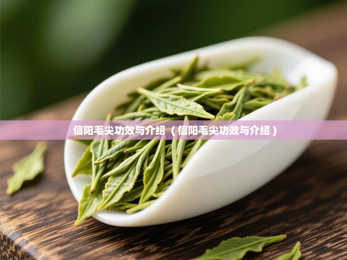 信阳毛尖功效与介绍  ( 信阳毛尖功效与介绍 )  信阳毛尖功效与介绍  ( 信阳毛尖功效与介绍 )