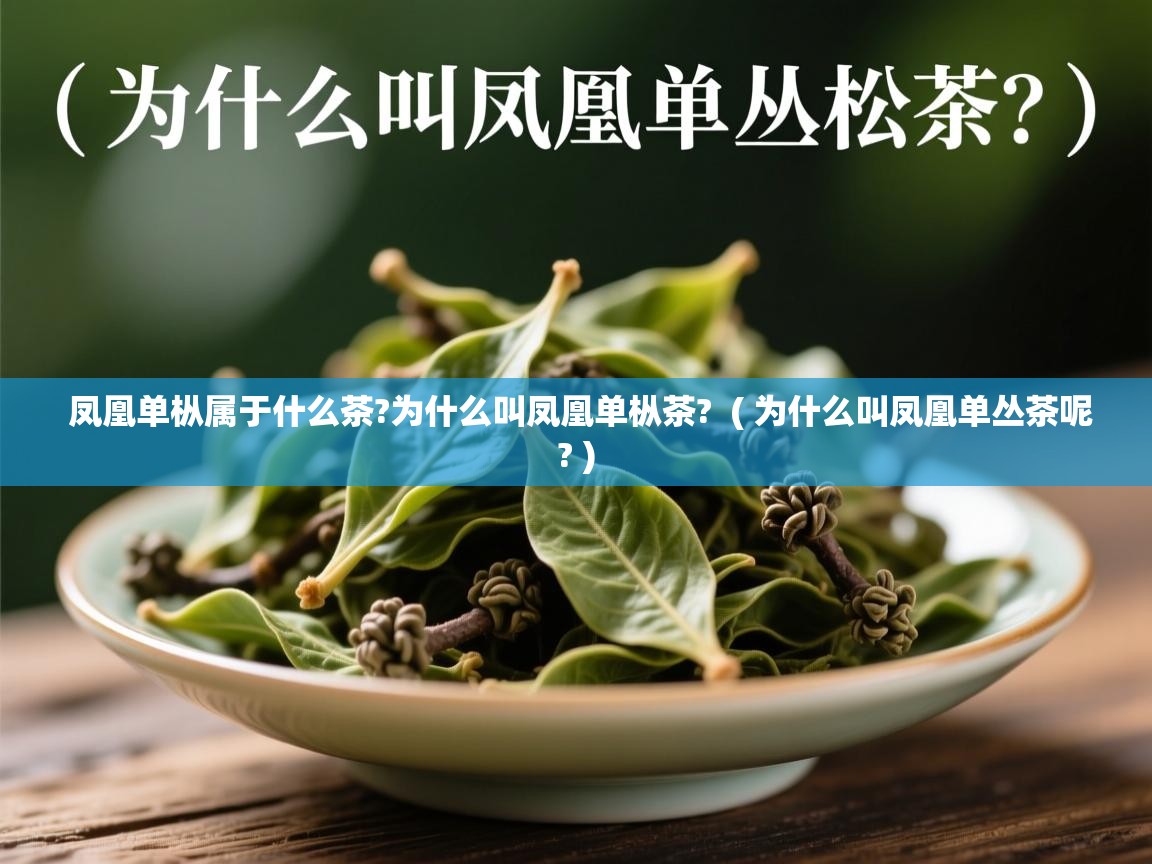  凤凰单枞属于什么茶?为什么叫凤凰单枞茶?  ( 为什么叫凤凰单丛茶呢? )