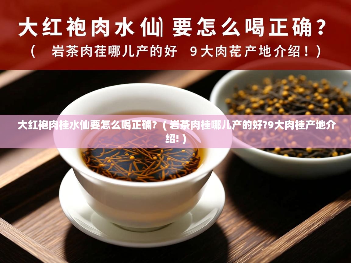 大红袍肉桂水仙要怎么喝正确?  ( 岩茶肉桂哪儿产的好?9大肉桂产地介绍! )  大红袍肉桂水仙要怎么喝正确?  ( 岩茶肉桂哪儿产的好?9大肉桂产地介绍! )