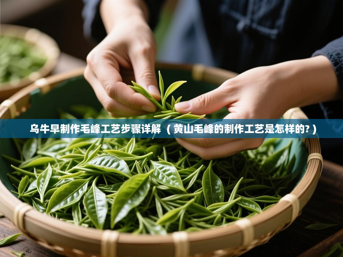  乌牛早制作毛峰工艺步骤详解  ( 黄山毛峰的制作工艺是怎样的? )