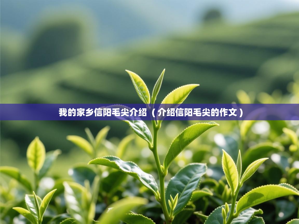 我的家乡信阳毛尖介绍  ( 介绍信阳毛尖的作文 )  我的家乡信阳毛尖介绍  ( 介绍信阳毛尖的作文 )