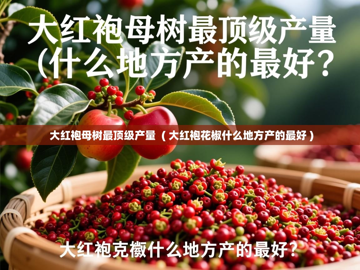  大红袍母树最顶级产量  ( 大红袍花椒什么地方产的最好 )
