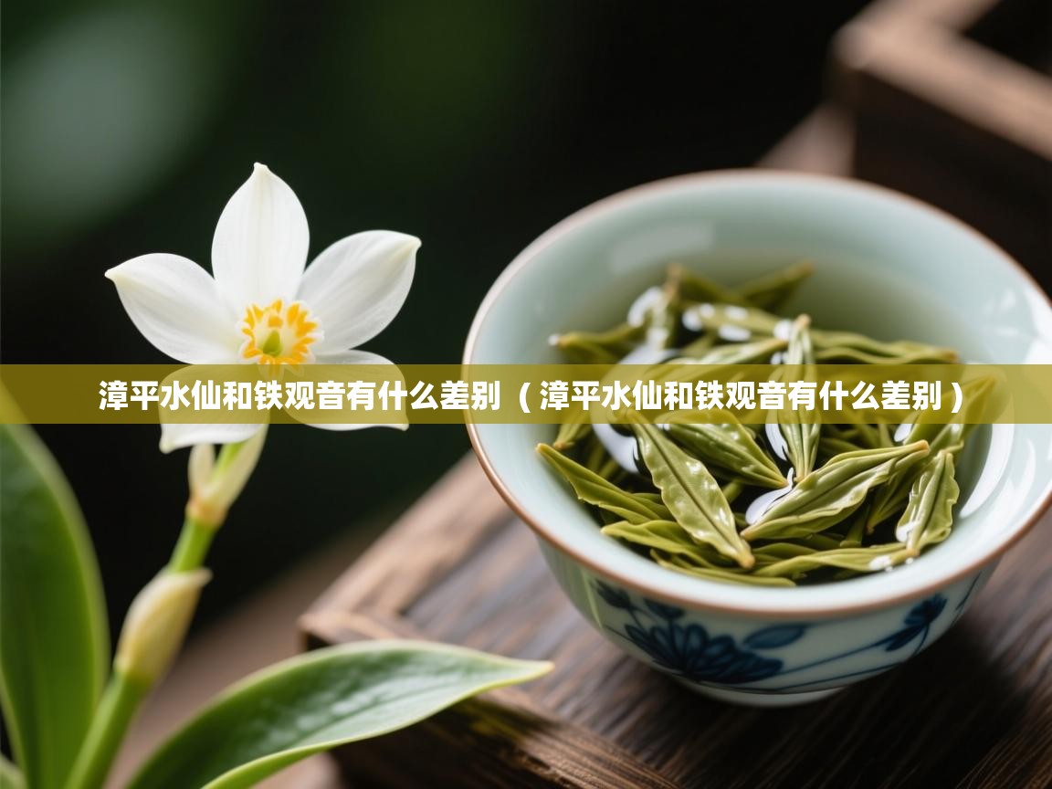 漳平水仙和铁观音有什么差别  ( 漳平水仙和铁观音有什么差别 )  漳平水仙和铁观音有什么差别  ( 漳平水仙和铁观音有什么差别 )