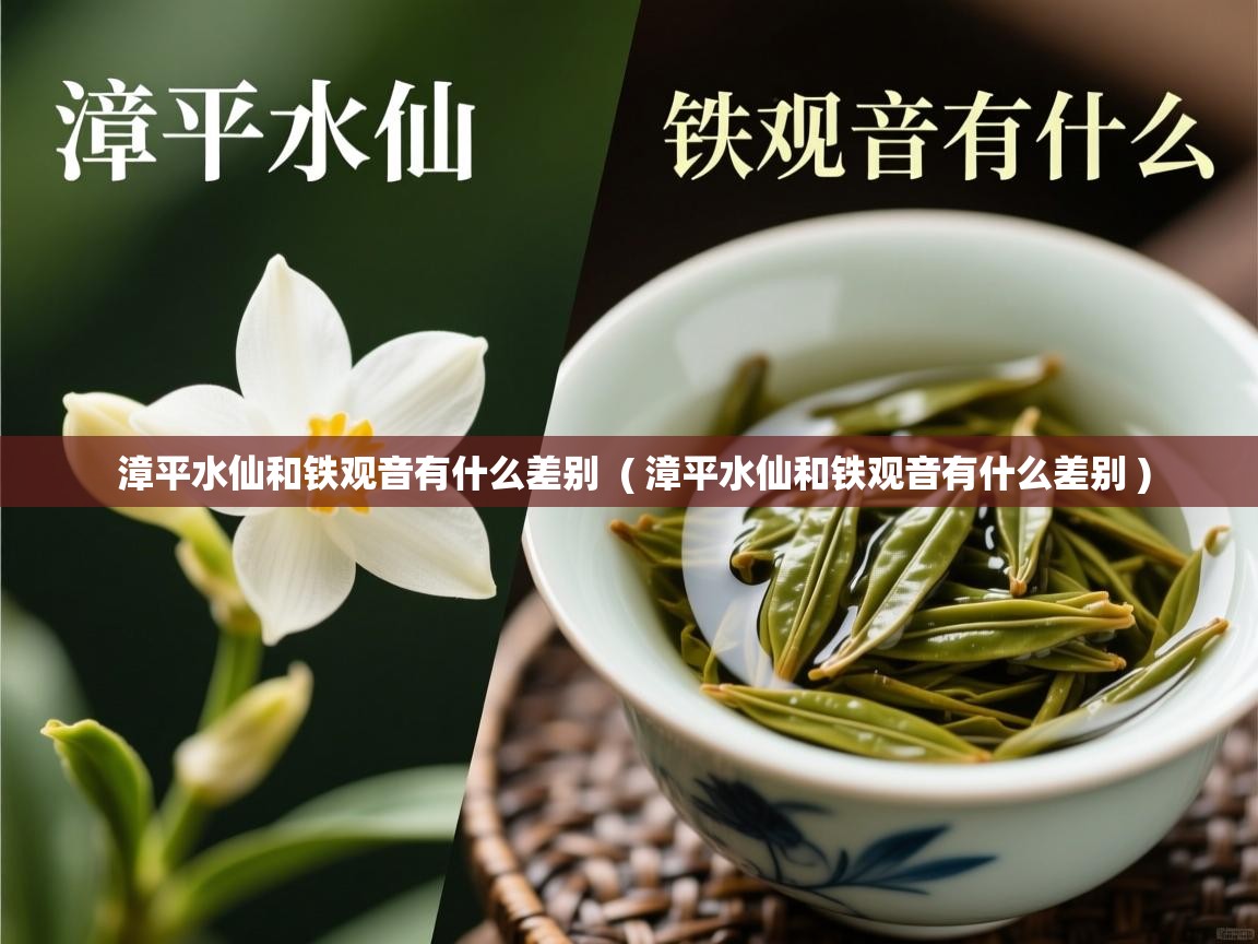 漳平水仙和铁观音有什么差别  ( 漳平水仙和铁观音有什么差别 )  漳平水仙和铁观音有什么差别  ( 漳平水仙和铁观音有什么差别 )