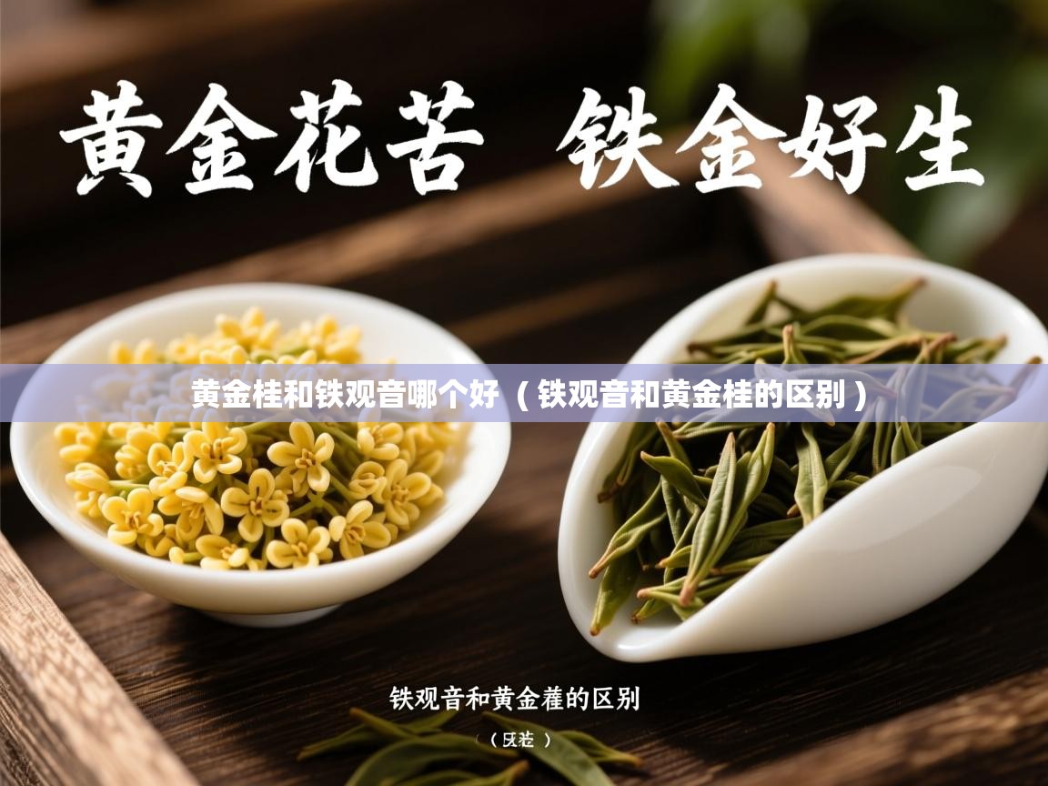  黄金桂和铁观音哪个好  ( 铁观音和黄金桂的区别 )