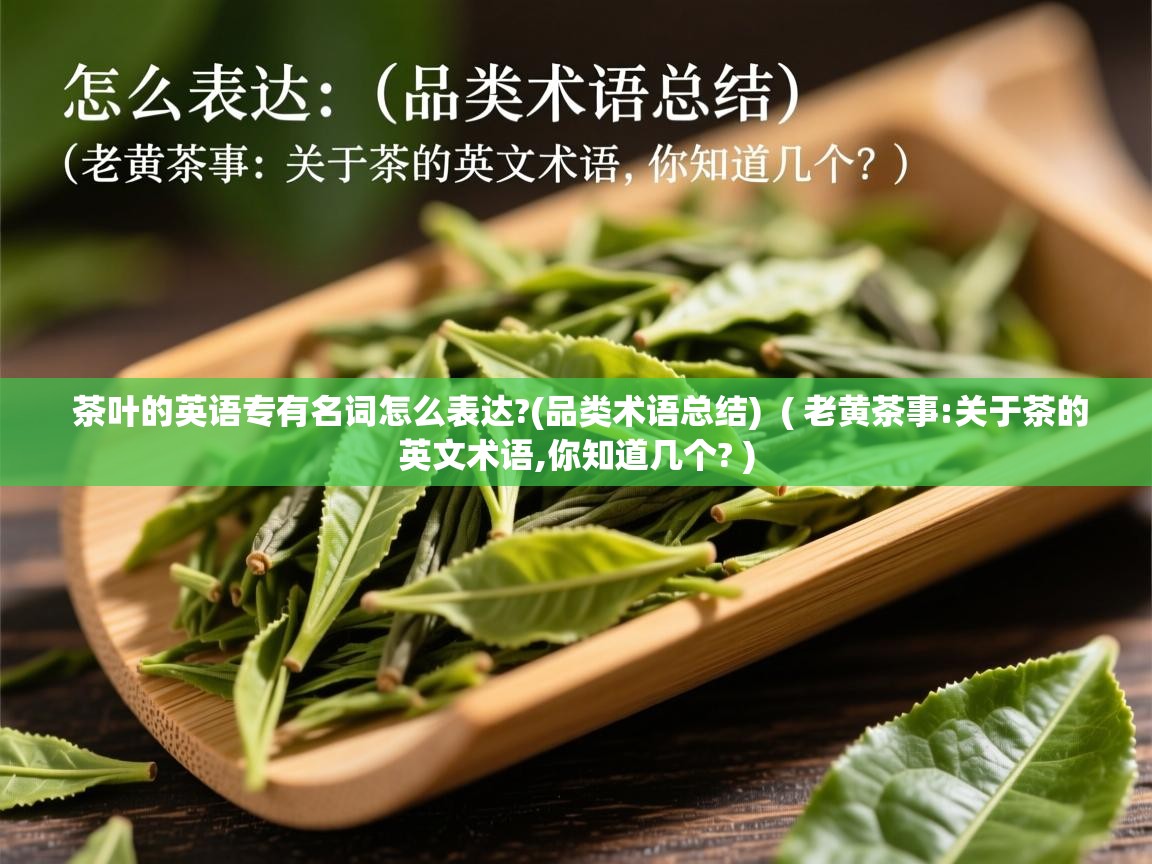  茶叶的英语专有名词怎么表达?(品类术语总结)  ( 老黄茶事:关于茶的英文术语,你知道几个? )