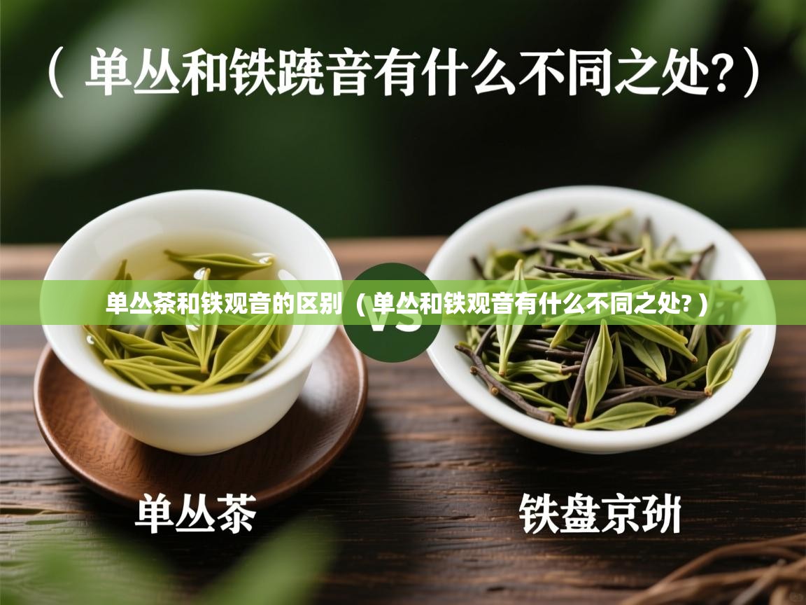 详细阅读: 单丛茶和铁观音的区别  ( 单丛和铁观音有什么不同之处? )  单丛茶和铁观音的区别  ( 单丛和铁观音有什么不同之处? )