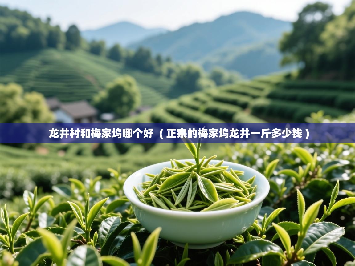 龙井村和梅家坞哪个好  ( 正宗的梅家坞龙井一斤多少钱 )  龙井村和梅家坞哪个好  ( 正宗的梅家坞龙井一斤多少钱 )