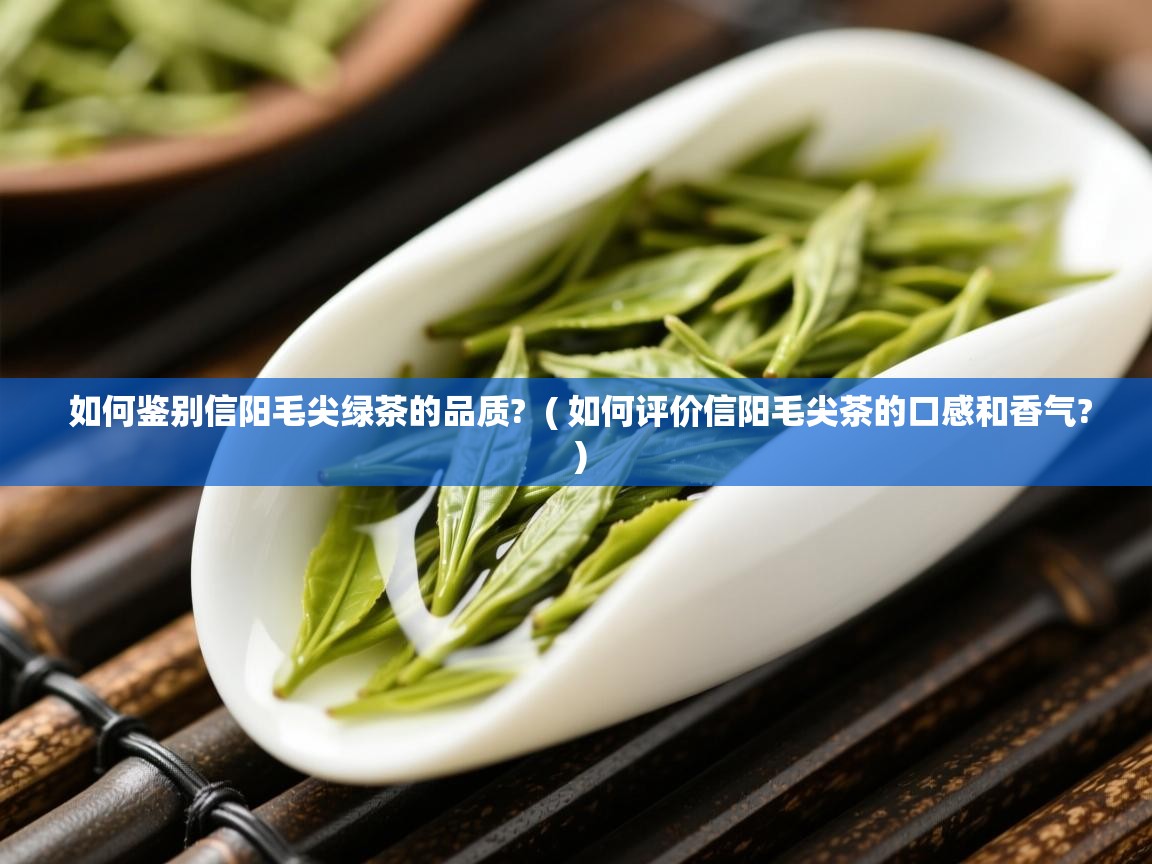  如何鉴别信阳毛尖绿茶的品质?  ( 如何评价信阳毛尖茶的口感和香气? )