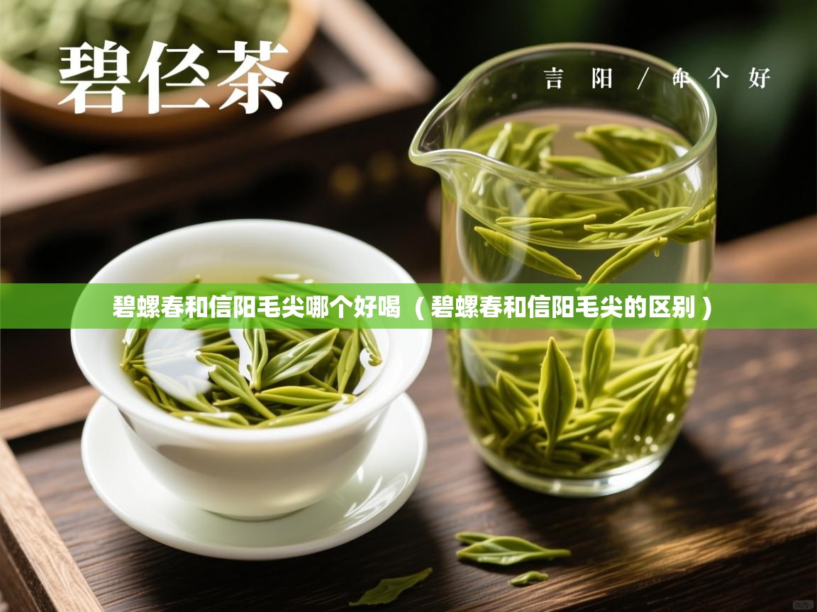 碧螺春和信阳毛尖哪个好喝  ( 碧螺春和信阳毛尖的区别 )  碧螺春和信阳毛尖哪个好喝  ( 碧螺春和信阳毛尖的区别 )