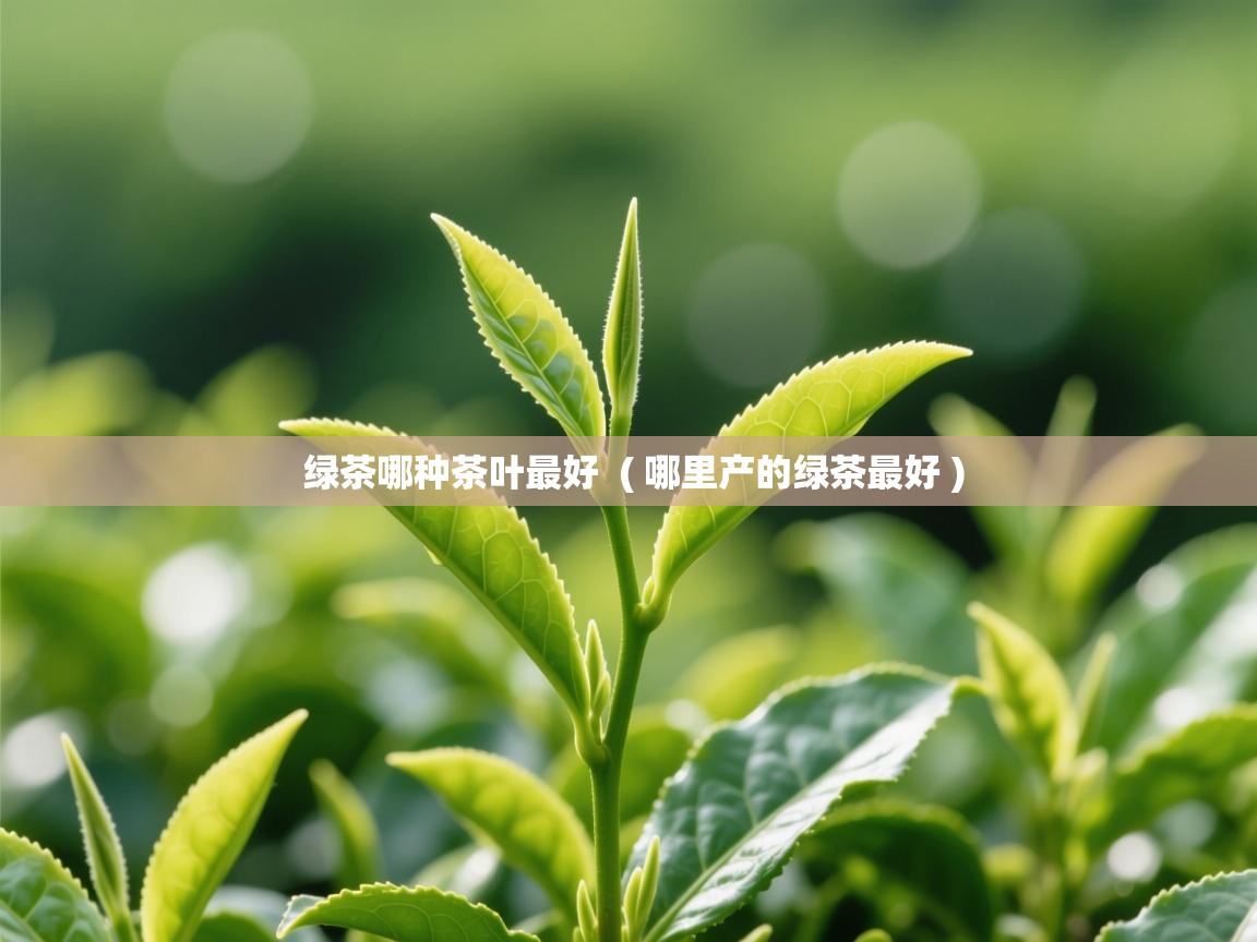  绿茶哪种茶叶最好  ( 哪里产的绿茶最好 )