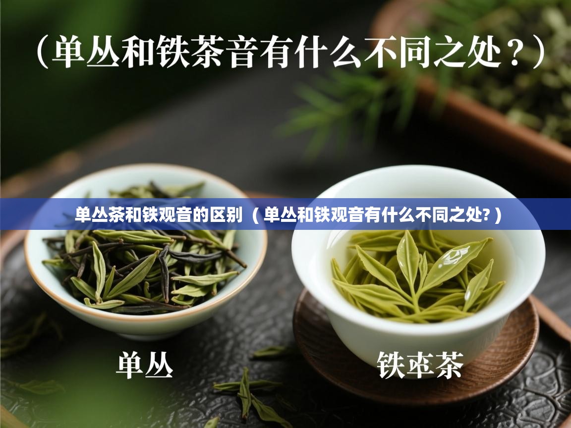单丛茶和铁观音的区别  ( 单丛和铁观音有什么不同之处? )  单丛茶和铁观音的区别  ( 单丛和铁观音有什么不同之处? )