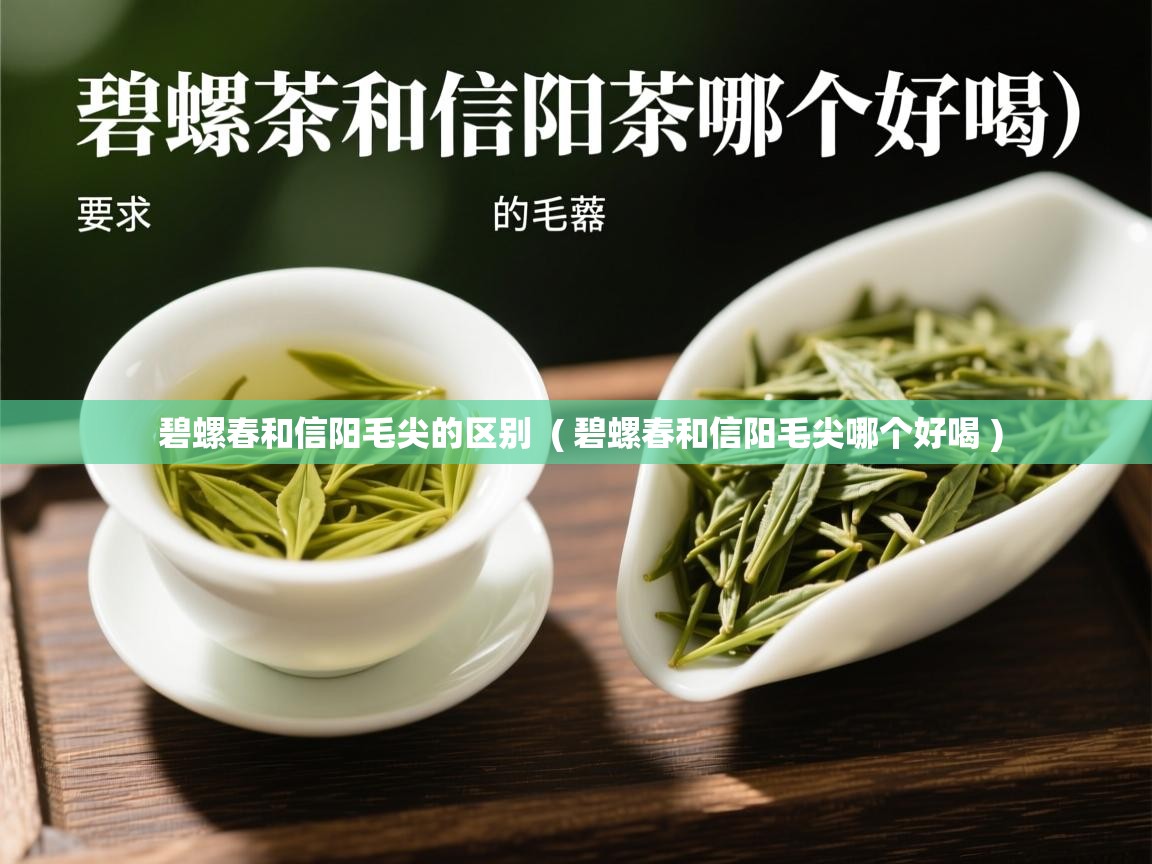 碧螺春和信阳毛尖的区别  ( 碧螺春和信阳毛尖哪个好喝 )  碧螺春和信阳毛尖的区别  ( 碧螺春和信阳毛尖哪个好喝 )
