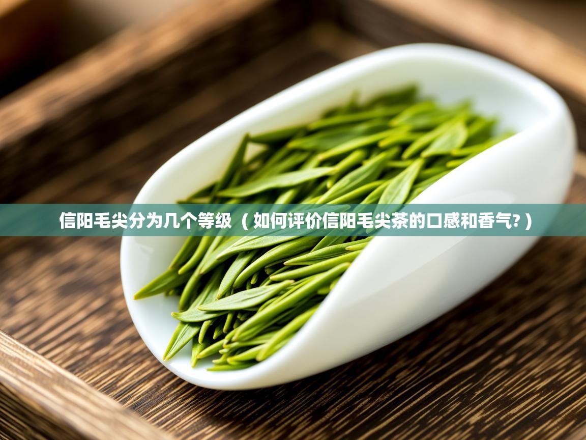  信阳毛尖分为几个等级  ( 如何评价信阳毛尖茶的口感和香气? )