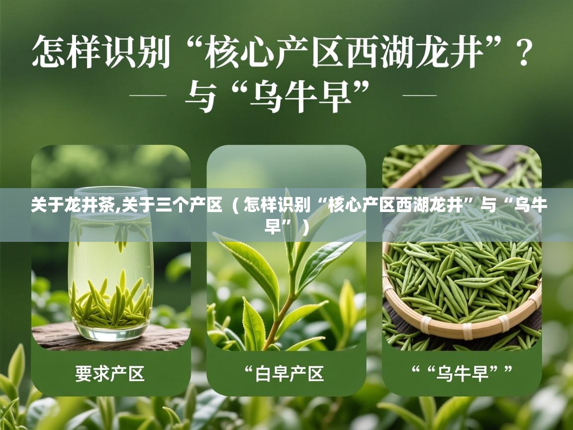 关于龙井茶,关于三个产区  ( 怎样识别“核心产区西湖龙井”与“乌牛早” )  关于龙井茶,关于三个产区  ( 怎样识别“核心产区西湖龙井”与“乌牛早” )