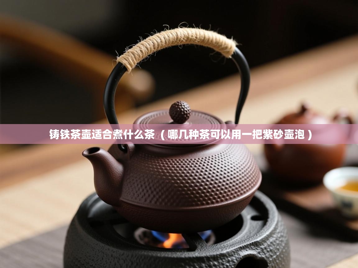 铸铁茶壶适合煮什么茶  ( 哪几种茶可以用一把紫砂壶泡 )  铸铁茶壶适合煮什么茶  ( 哪几种茶可以用一把紫砂壶泡 )