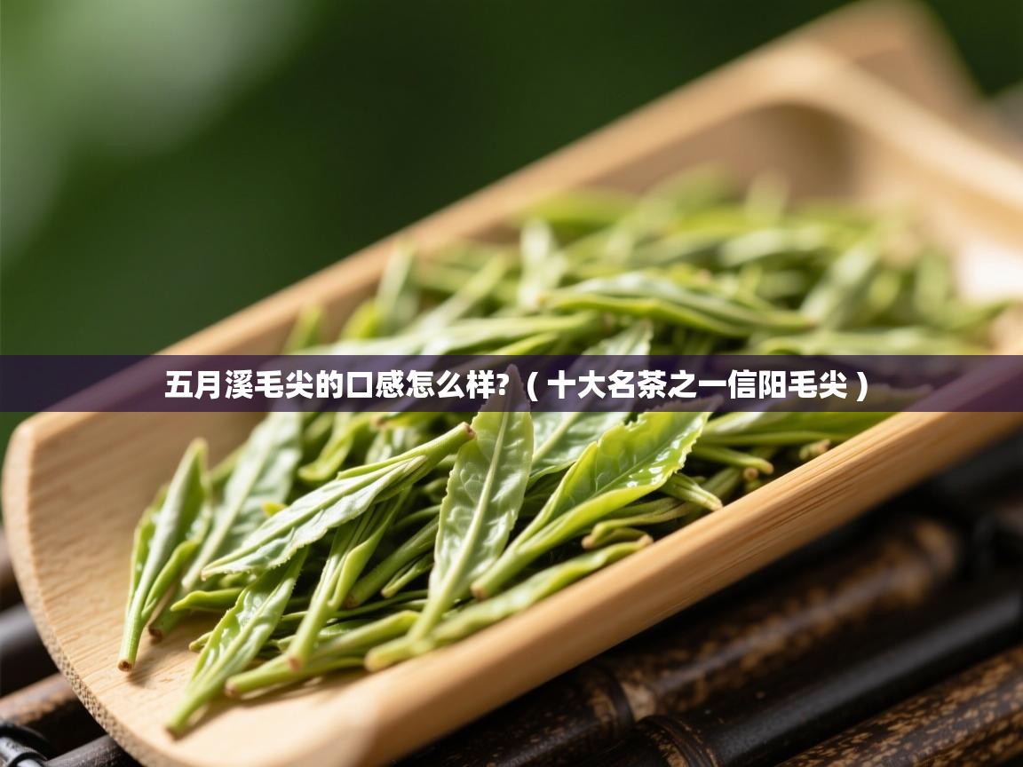  五月溪毛尖的口感怎么样?  ( 十大名茶之一信阳毛尖 )