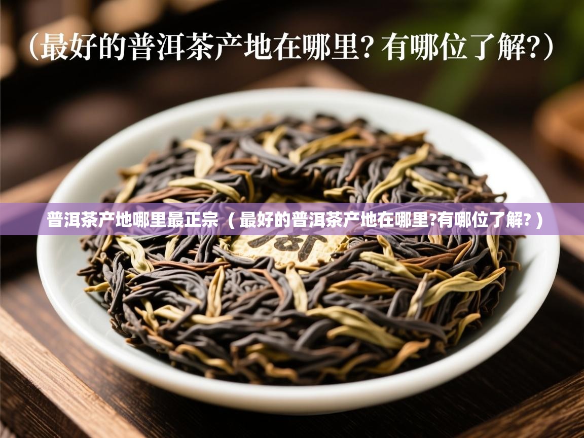 普洱茶产地哪里最正宗  ( 最好的普洱茶产地在哪里?有哪位了解? )  普洱茶产地哪里最正宗  ( 最好的普洱茶产地在哪里?有哪位了解? )
