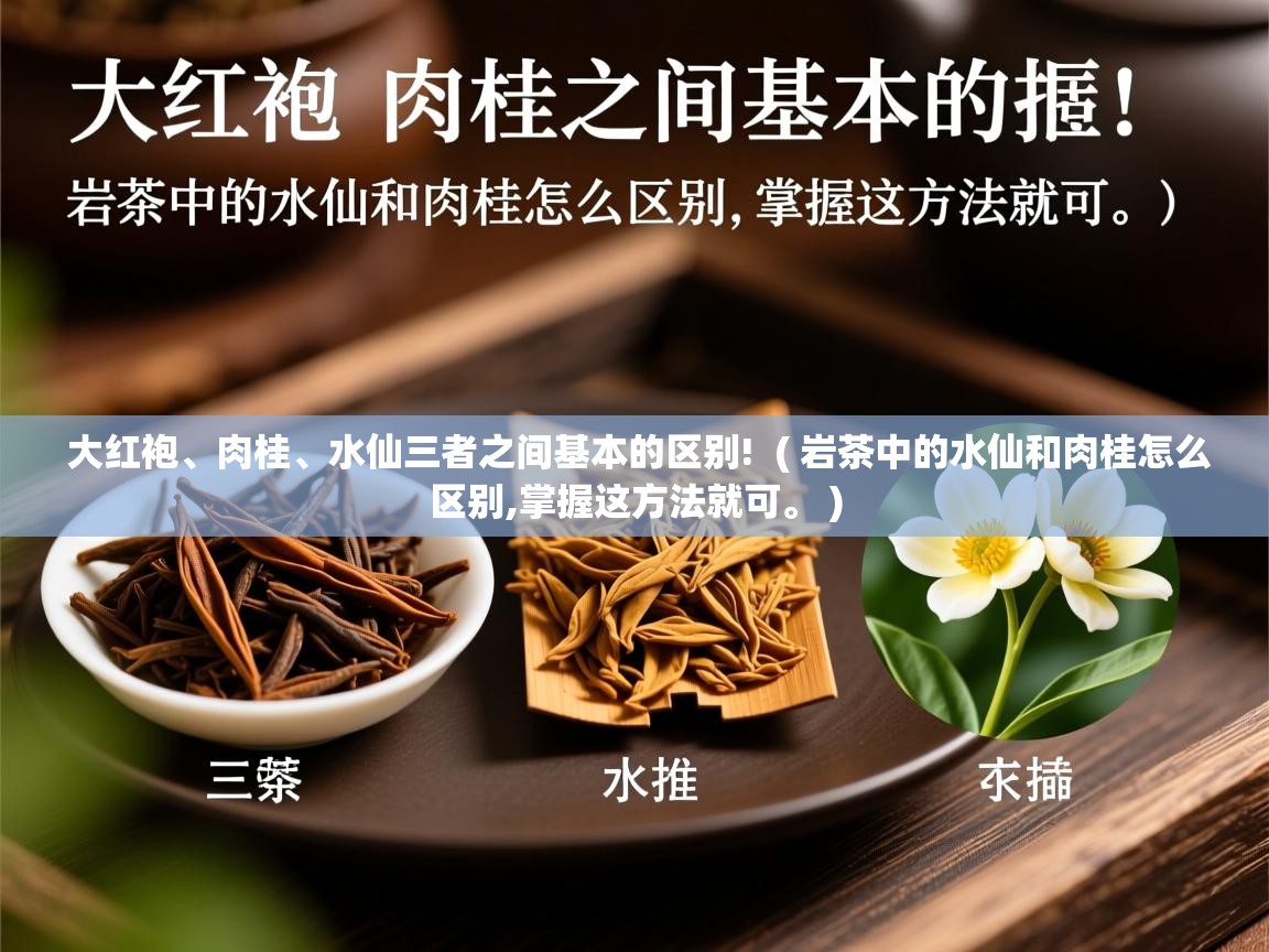 大红袍、肉桂、水仙三者之间基本的区别!  ( 岩茶中的水仙和肉桂怎么区别,掌握这方法就可。 )  大红袍、肉桂、水仙三者之间基本的区别!  ( 岩茶中的水仙和肉桂怎么区别,掌握这方法就可。 )