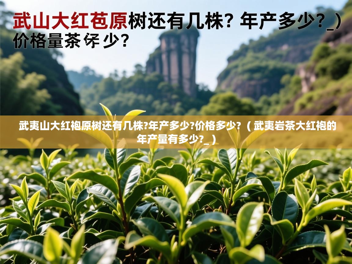 武夷山大红袍原树还有几株?年产多少?价格多少?  ( 武夷岩茶大红袍的年产量有多少?_ )  武夷山大红袍原树还有几株?年产多少?价格多少?  ( 武夷岩茶大红袍的年产量有多少?_ )