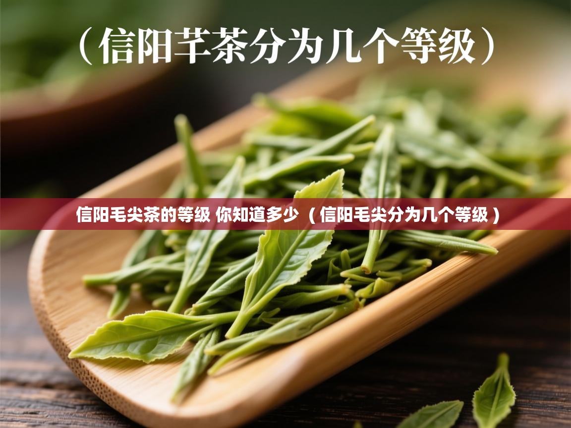  信阳毛尖茶的等级 你知道多少  ( 信阳毛尖分为几个等级 )