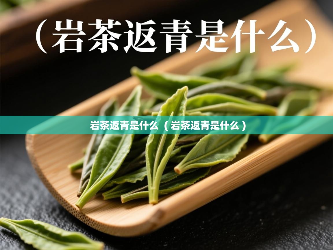 岩茶返青是什么  ( 岩茶返青是什么 )  岩茶返青是什么  ( 岩茶返青是什么 )