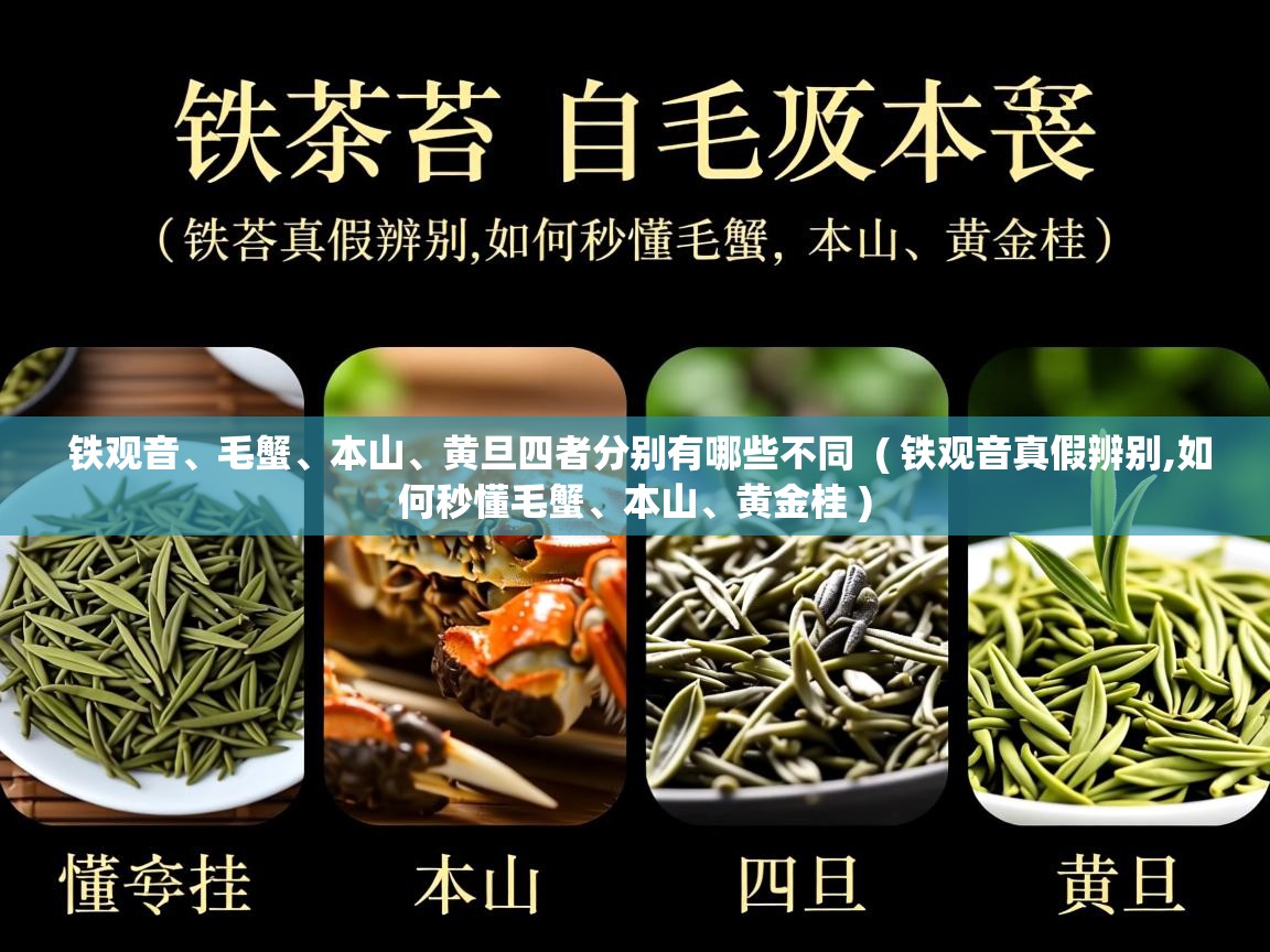  铁观音、毛蟹、本山、黄旦四者分别有哪些不同  ( 铁观音真假辨别,如何秒懂毛蟹、本山、黄金桂 )