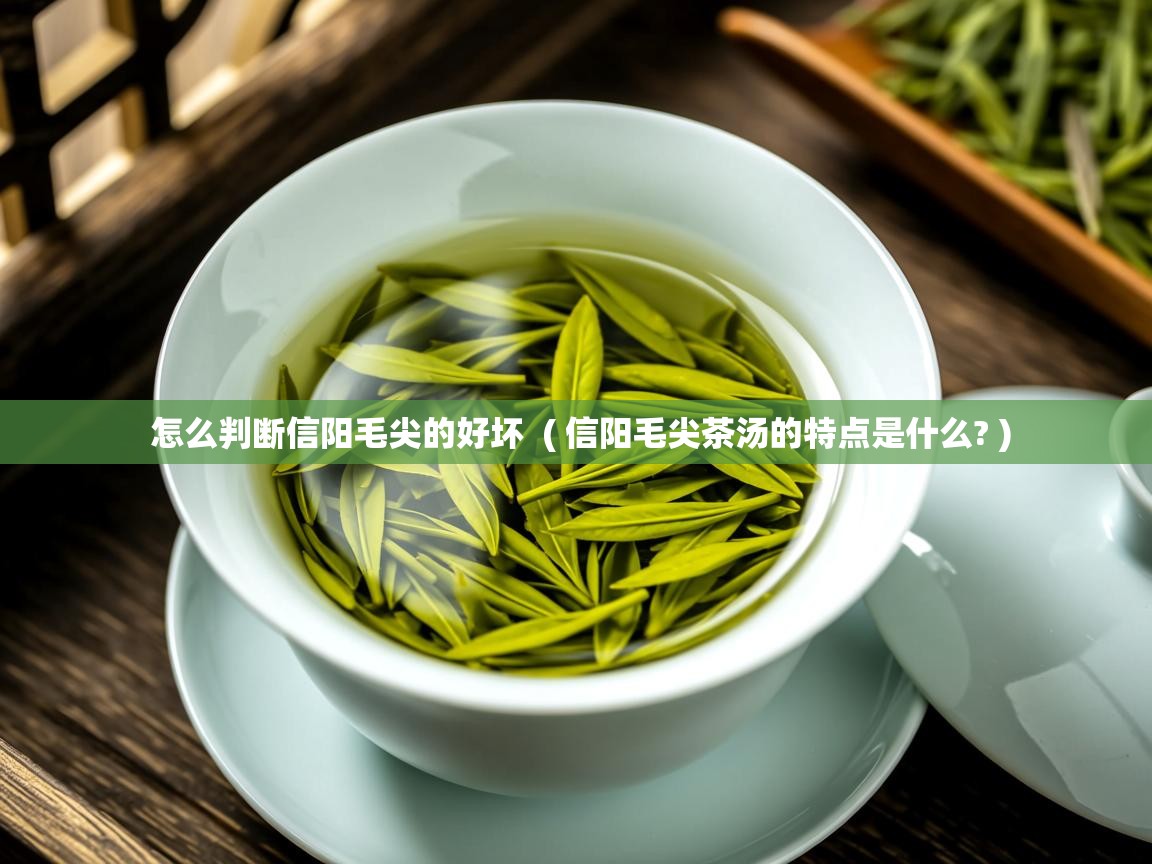  怎么判断信阳毛尖的好坏  ( 信阳毛尖茶汤的特点是什么? )