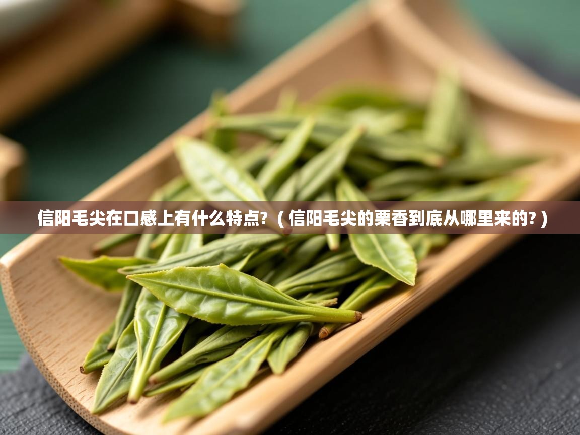  信阳毛尖在口感上有什么特点?  ( 信阳毛尖的栗香到底从哪里来的? )