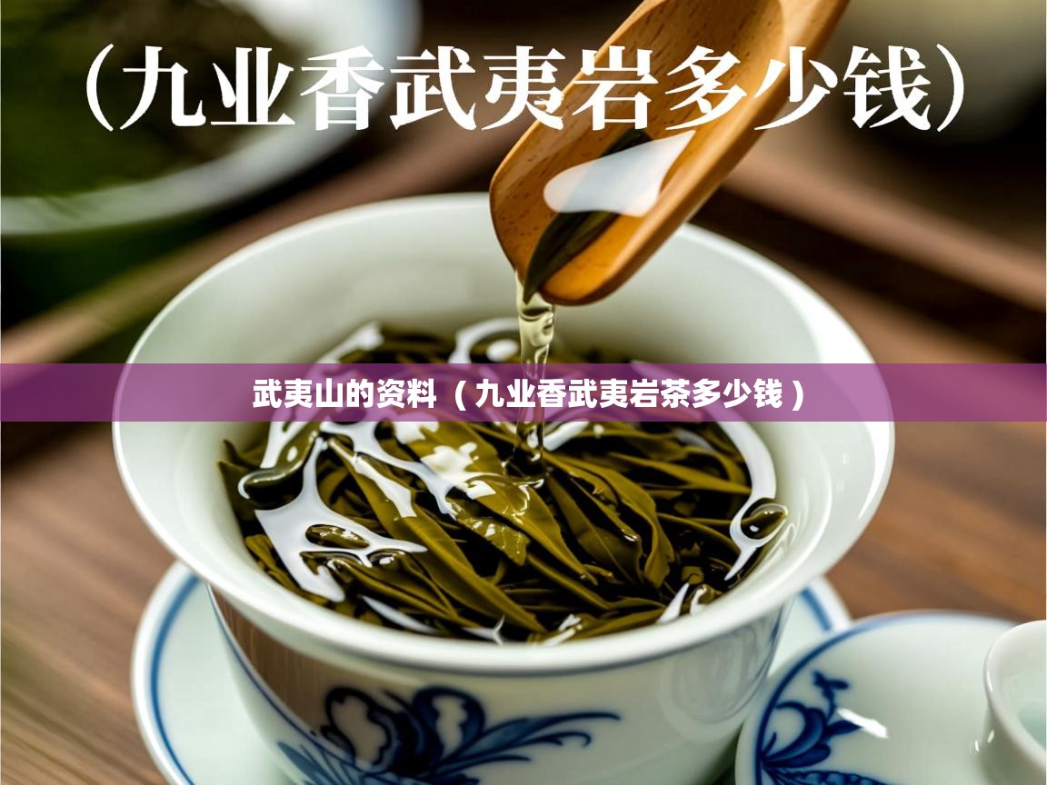 武夷山的资料  ( 九业香武夷岩茶多少钱 )  武夷山的资料  ( 九业香武夷岩茶多少钱 )