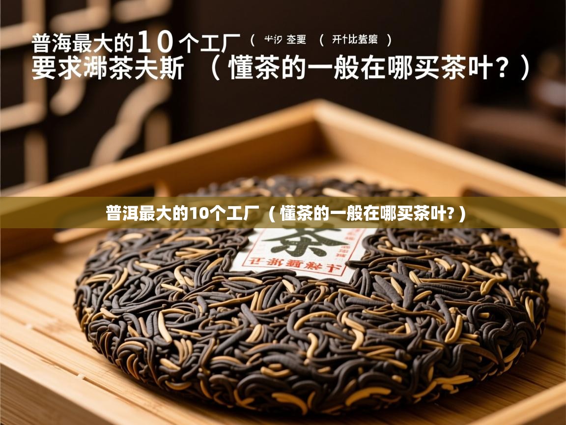 普洱最大的10个工厂  ( 懂茶的一般在哪买茶叶? )  普洱最大的10个工厂  ( 懂茶的一般在哪买茶叶? )