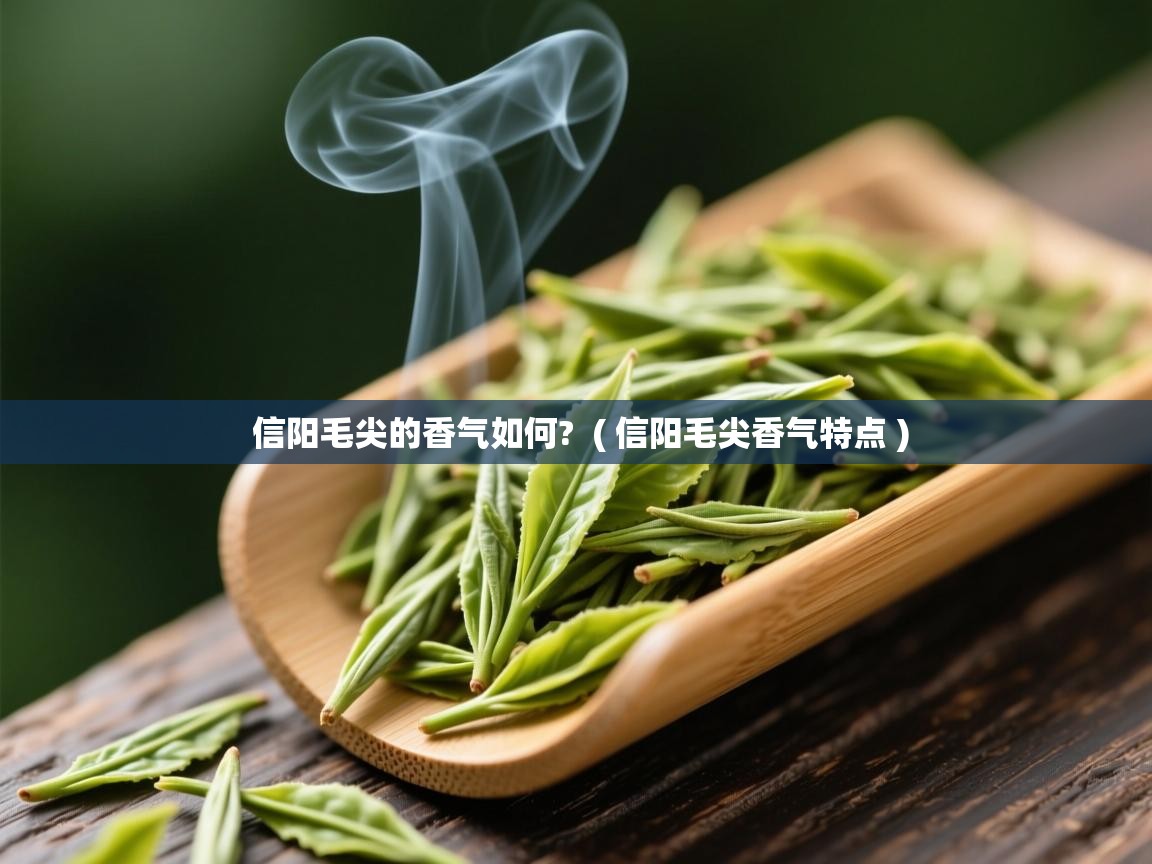 信阳毛尖的香气如何?  ( 信阳毛尖香气特点 )  信阳毛尖的香气如何?  ( 信阳毛尖香气特点 )