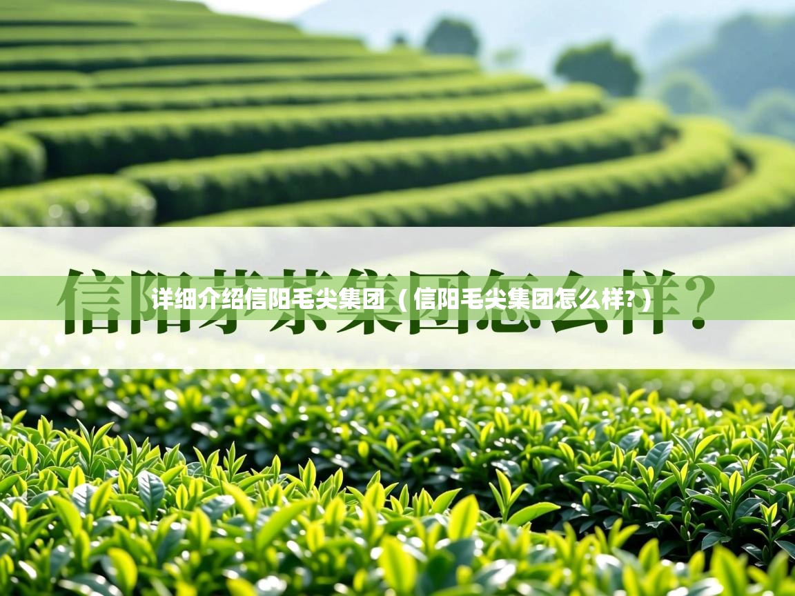 详细阅读: 详细介绍信阳毛尖集团  ( 信阳毛尖集团怎么样? )  详细介绍信阳毛尖集团  ( 信阳毛尖集团怎么样? )