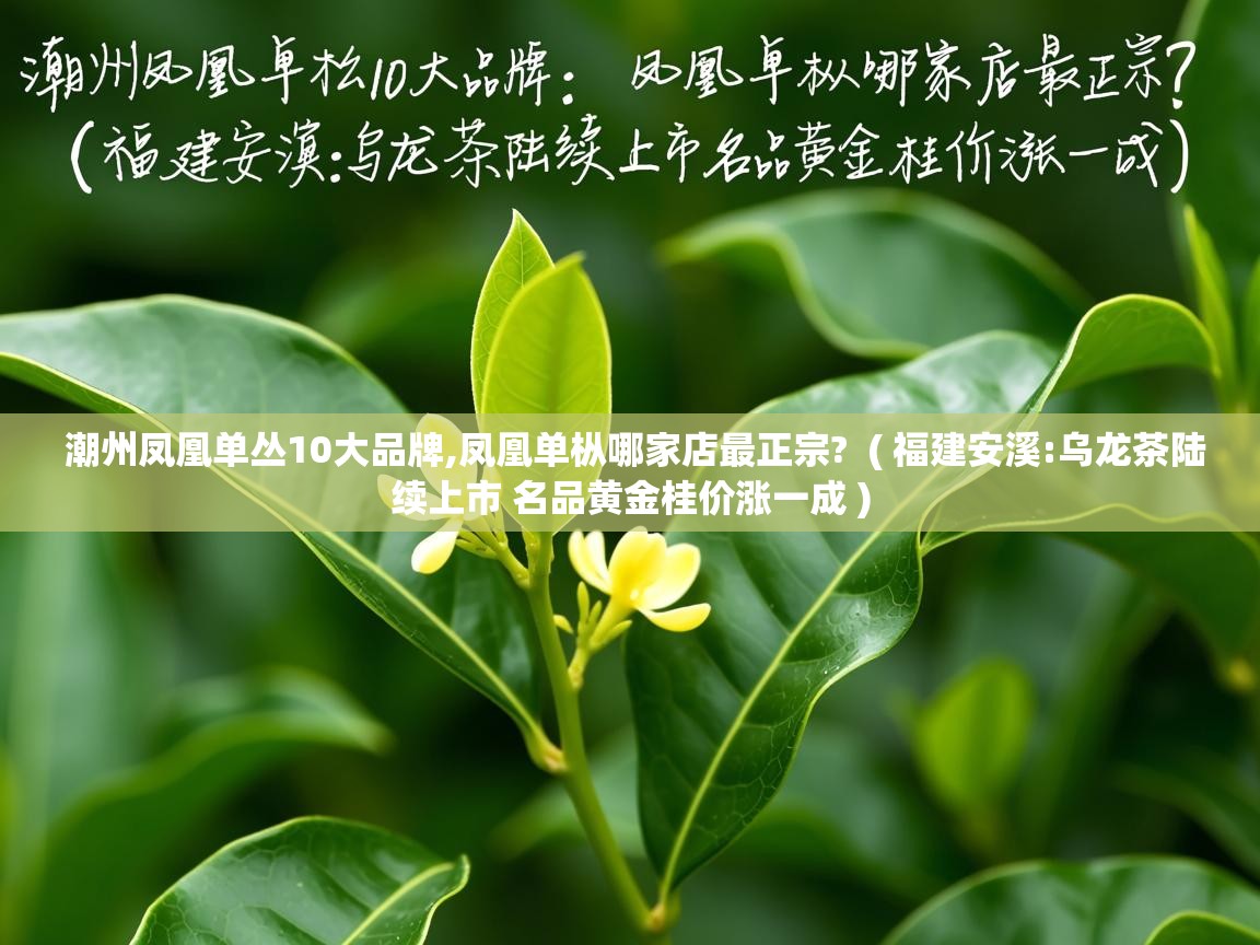  潮州凤凰单丛10大品牌,凤凰单枞哪家店最正宗?  ( 福建安溪:乌龙茶陆续上市 名品黄金桂价涨一成 )